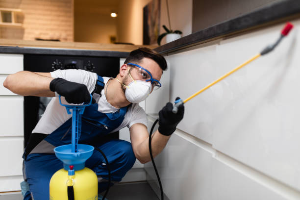 Best Flea Control Services  in Westwego, LA