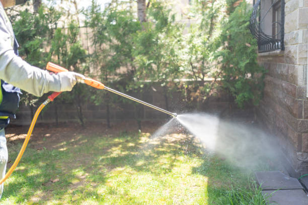 Best Insect Control  in Westwego, LA